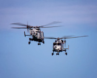 Royal Navy Black Cats