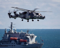 Royal Navy Black Cats